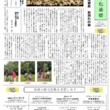 沙漠緑化通信第51号